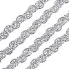 Metallic Polyester Ribbon OCOR-WH0065-07B-1