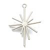 Alloy Pendants PALLOY-E580-05P-2