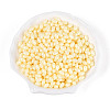 Opaque Colours Luster Glass Seed Beads SEED-N008-02A-03-1
