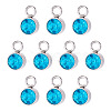 10Pcs Glass Rhinestone Charms STAS-TA0003-26K-1