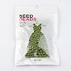 6/0 Baking Paint Glass Seed Beads X-SEED-S003-K9-3