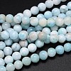 Natural Larimar Round Beads Strands G-O087-10-10mm-1