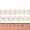 Baking Paint Glass Beads Strands DGLA-N017-01G-4