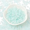 Frosted Glass Beads X1-FGLA-D300-01B-2