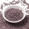 MIYUKI Round Rocailles Beads SEED-X0055-RR0410-2