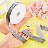 10 Yards Polyester Velvet Ribbon OCOR-TA0004-13C-6