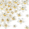 50Pcs 5 Styles Acrylic Cabochons MACR-TA0002-90-3