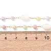 Glass Round Beads & Natural Shell Barrel Beads Link Bracelets BJEW-G774-03G-5