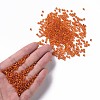 8/0 Glass Seed Beads SEED-A005-3mm-29-4