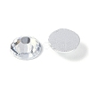 Glass Flat Back Rhinestone RGLA-C002-SS40-001-3