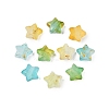 Frosted Acrylic Beads FACR-CJC0008-01C-2