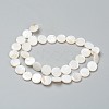 Natural Freshwater Shell Beads BSHE-I011-01E-02-2