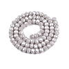 Electroplate Glass Beads Strands EGLA-A044-P6mm-A19-3