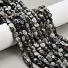 Natural Picasso Jasper Beads Strands G-K398-A01-01-1