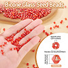 Picasso Baking Paint Glass Seed Beads SEED-TA0001-62H-3