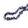 Natural Sodalite Chips Beads Strands G-O049-A-08-3