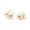 304 Stainless Steel Charms STAS-H413-13G-2