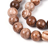 Natural Wood Lace Stone Wooden Jasper Beads Strands G-T143-30A-04-3