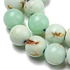 Natural Green Opal Beads Strands G-R494-A08-02-3