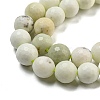 Natural Dendritic Jasper Beads Strands G-E571-A05-03-4