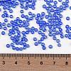 TOHO Round Seed Beads SEED-JPTR08-0117-4