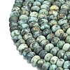Natural African Turquoise(Jasper) Beads Strands G-P575-A20-8x5mm-3