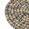 Natural Red Picasso Jasper/Polychrome Jasper Beads Strands G-P575-B10-6x1mm-3