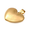 304 Stainless Steel Pendants STAS-H200-01G-02-2