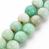 Natural Chrysoprase Beads Strands G-S333-10mm-037-1