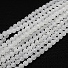 Natural White Moonstone Beads Strands G-G559-8mm-1