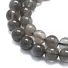 Natural Grey Moonstone Beads Strands G-K245-A05-02-3