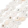 Natural Sunflower Druzy Agate Slice Beads Strands G-K381-A01-1