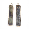 Natural Ocean Jasper Pendants G-S344-23A-2