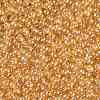 TOHO 11/0 Round Beads SEED-TR11-0103B-2