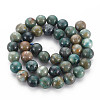 Natural Chrysocolla Beads Strands G-S376-004C-2