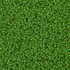 TOHO Round Seed Beads SEED-JPTR11-0306FM-2