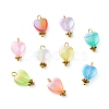 Eco-Friendly Transparent Acrylic Charms PALLOY-JF00749-02-1