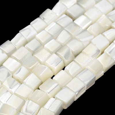 Natural Trochid Shell/Trochus Shell Beads Strands SHEL-C010-05B-1