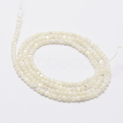 Natural White Shell Beads G-N0190-11-2mm-1