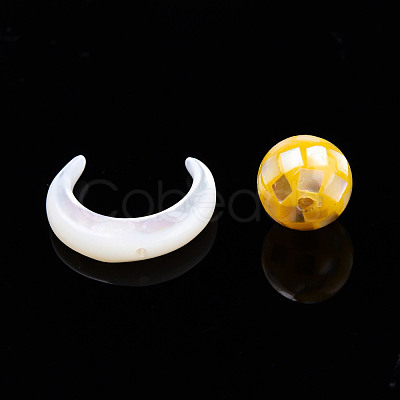 Natural White Shell Beads SSHEL-N032-51-B02-1