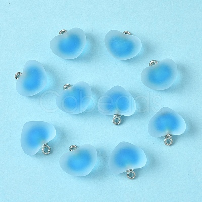 10Pcs Frosted Resin Pendants RESI-YW0004-45A-1