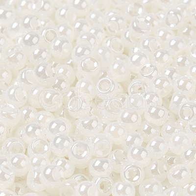 Glass Seed Beads SEED-H002-E-A141-1