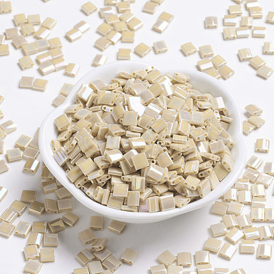 MIYUKI TILA Beads X-SEED-J020-TL488-1