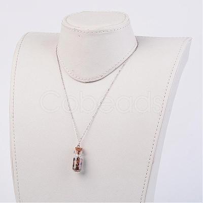 Glass Bottle Pendant Necklaces NJEW-JN01697-1