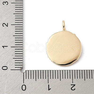 Brass Micro Pave Cubic Zirconia Pendants KK-Z107-01G-02-1