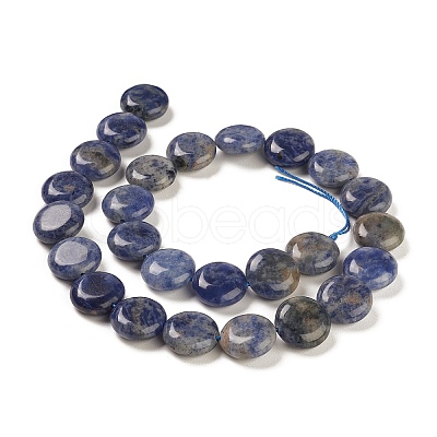 Natural Sodalite Beads Strands G-M403-C11-1