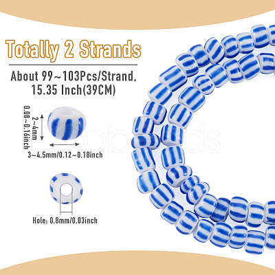 2Strands Handmade Lampwork Beads Strands BLOW-TADJ0001-01D-1