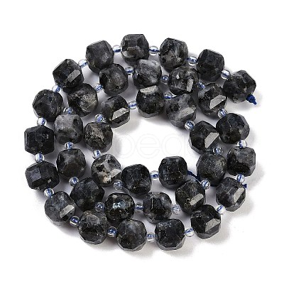 Natural Larvikite Beads Strands G-B125-O05-01-1
