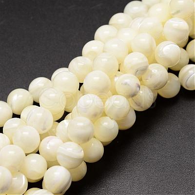 Natural Sea Shell Beads Strands SSHEL-K013-8mm-A-1