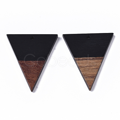 Resin & Walnut Wood Pendants RESI-T035-06C-A-1